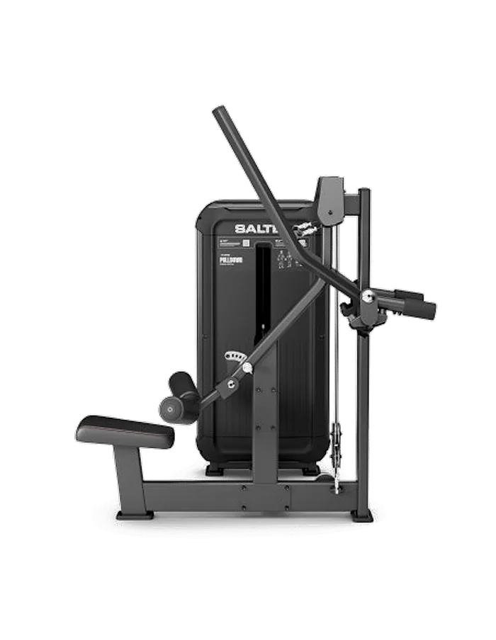 Dorsal vertical