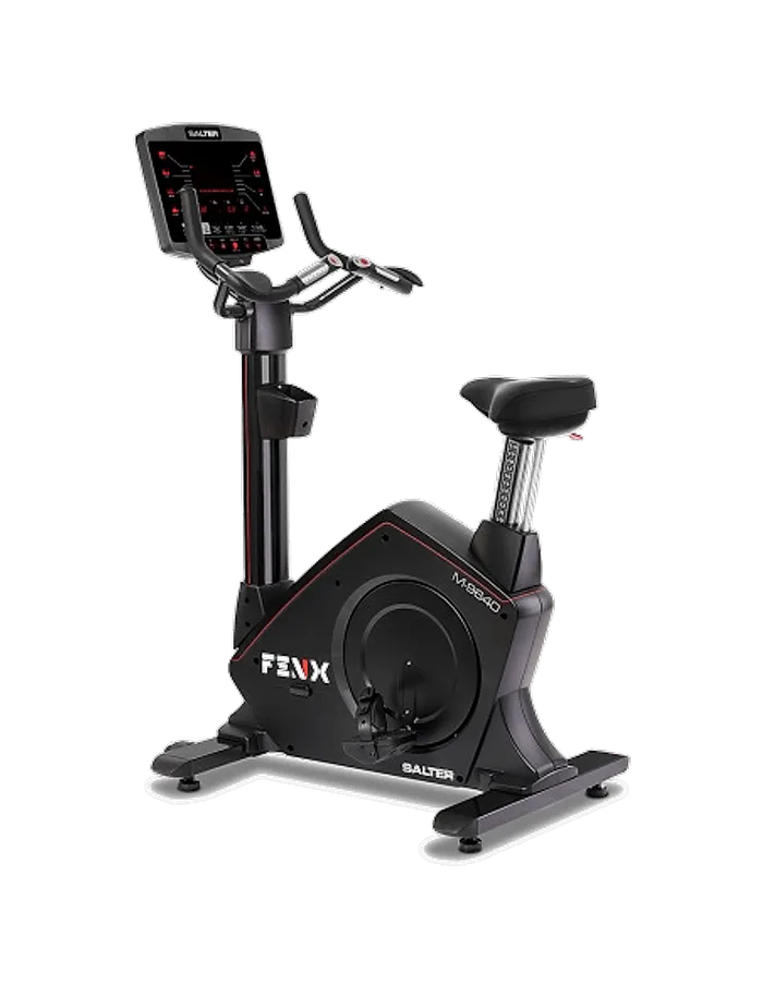 Bicicleta FENX